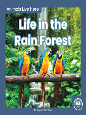 cover image of Life in the Rain Forest